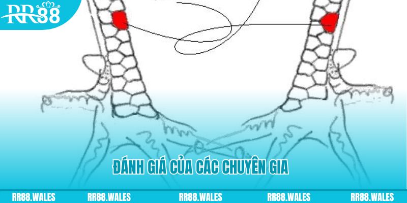 cwin1 tải game đánh bài tiến lên miền nam về máy tính