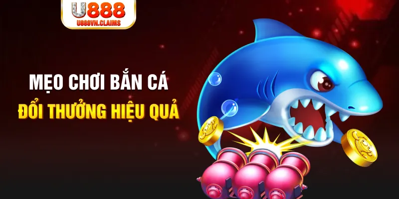 cwin1 gà chọi cam ranh