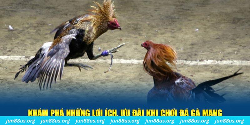 cwin1 đăng nhập liêng live