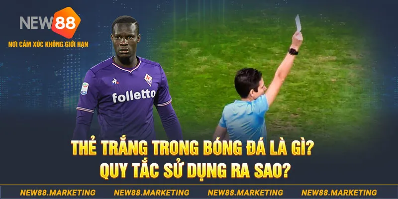 cwin1 đăng nhập sòng bạc hôm nay
