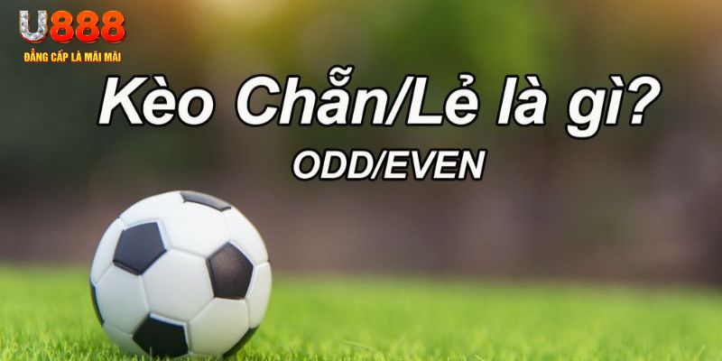 cwin1 đăng nhập sòng bạc 2024