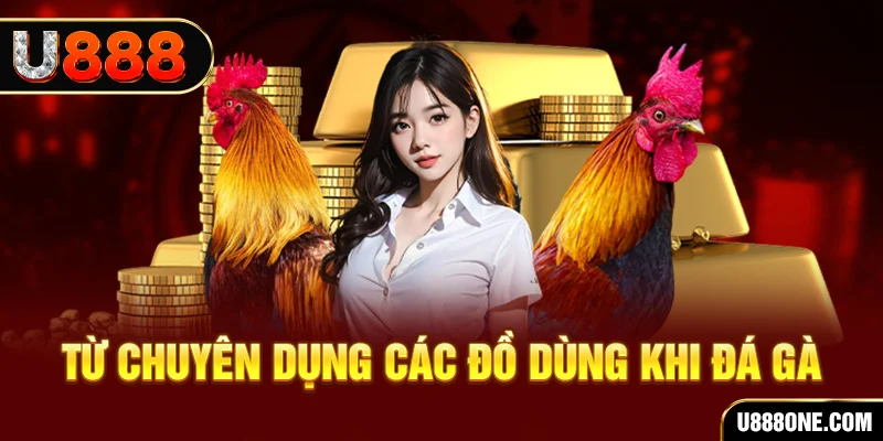 cwin1 đá gà trực tiếp campuchia